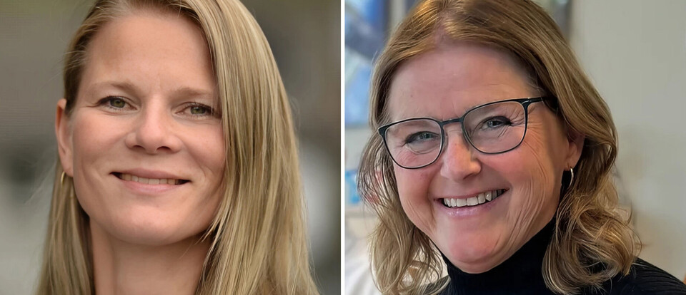 Ny HMS-fusjon: – Digitalisering gjør det vanskelig å være liten