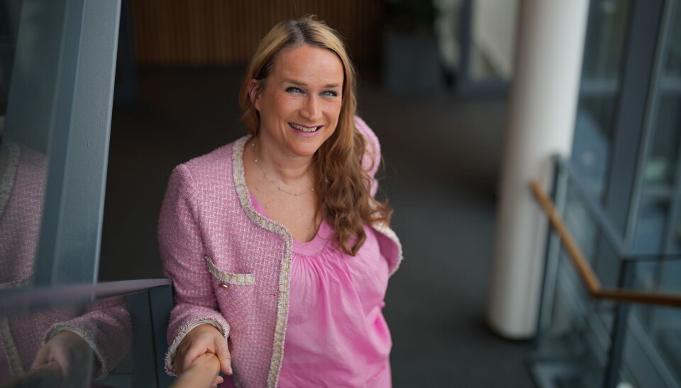 SYSTEMATISK ARBEID: Ingvill Kvernmo konstaterer at Arbeidstilsynet allerede er godt i gang med å følge opp tiltakene for å forbedre sitt eget arbeidsmiljø. Dette skal hun følge opp videre som ny direktør. Portrett.