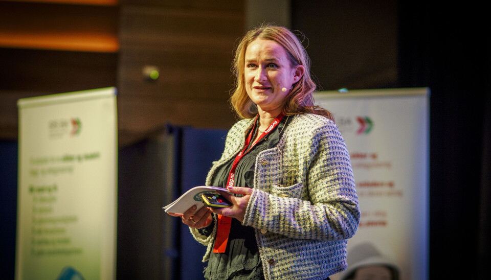 LANGSOMME FARER: Direktør Ingvill Kvernmo i Arbeidstilsynet sier at det er behov for mer oppmerksomhet rettet mot sykdom som følge av jobb. Ingvill Kvernmo holder foredrag på en scene.