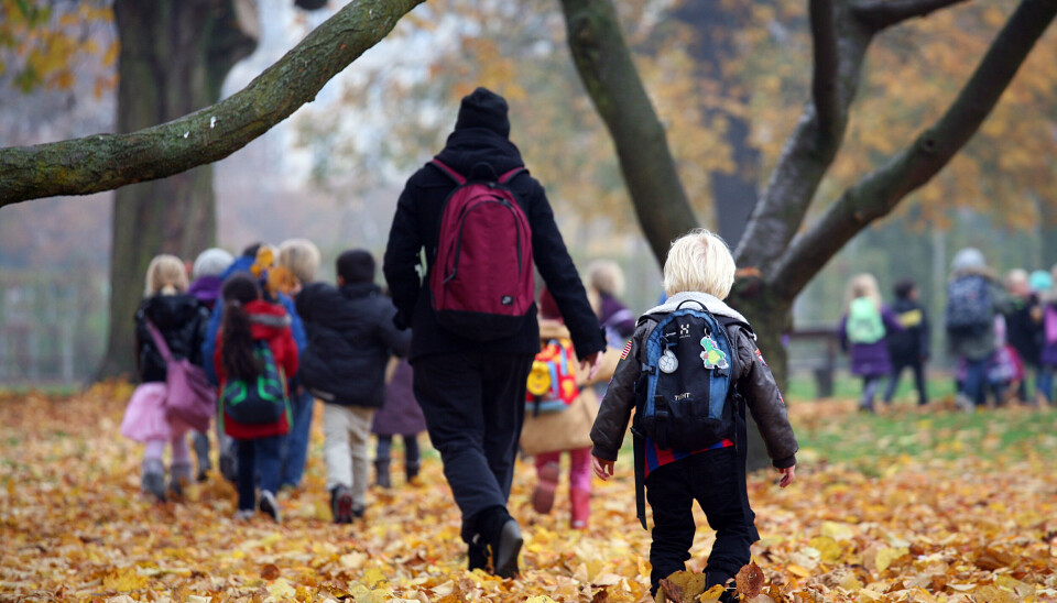 PSYKOSIAL EFFEKT: Kortere arbeidstid gir mer trivsel, men ikke nødvendigvis mindre sykefravær i barnehagene. Barnehage på tur. Barn leier voksen. Høstløv på bakken.