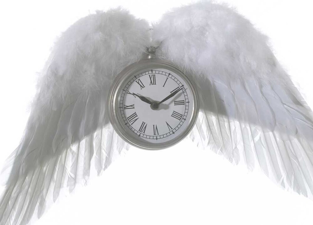 tids-engel-cb583078 tids-engel-cb583078