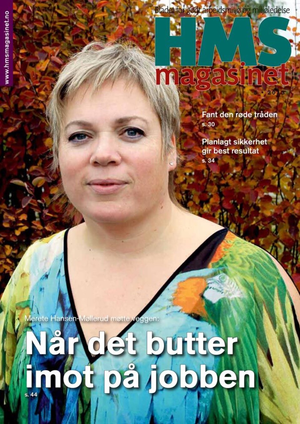 0513-hmsmagasinet 0513-hmsmagasinet
