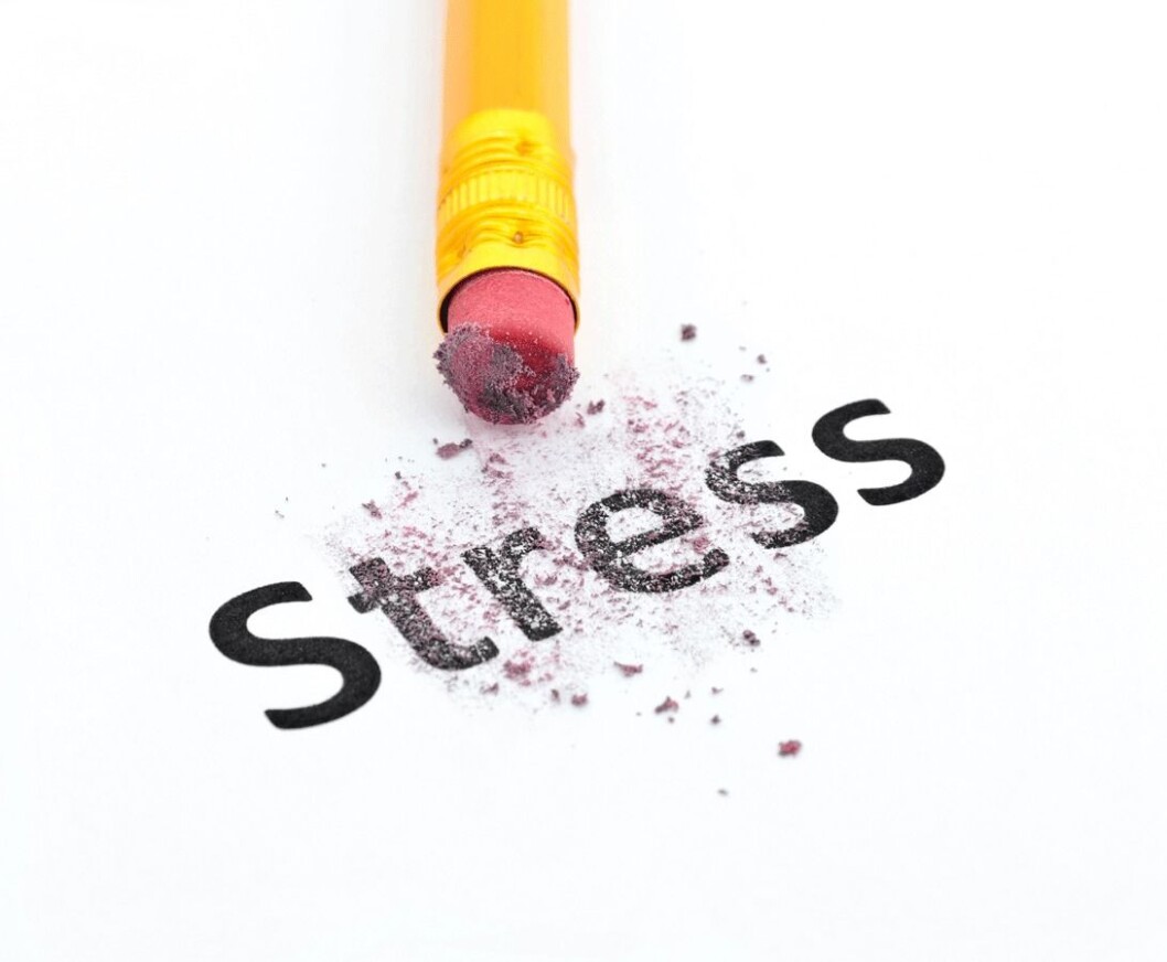 Stress-CB3261328 Stress-CB3261328