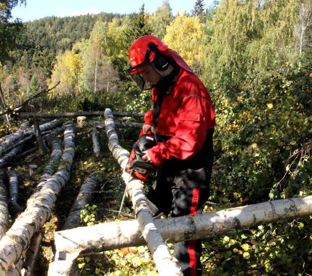 Skogsarbeider Skogsarbeider