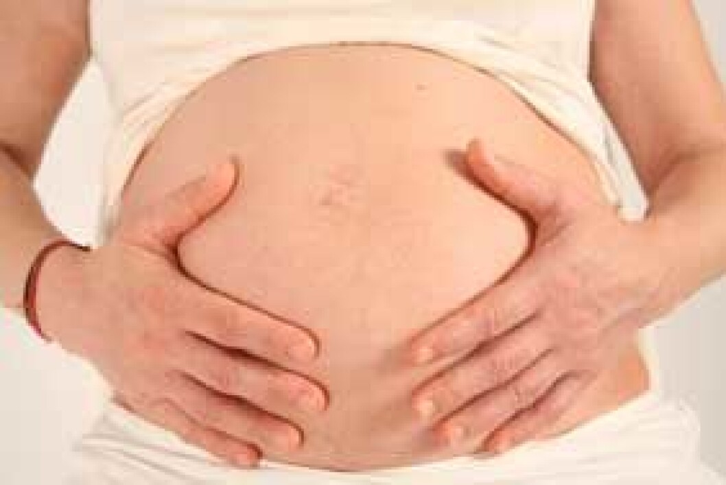 Gravid Gravid