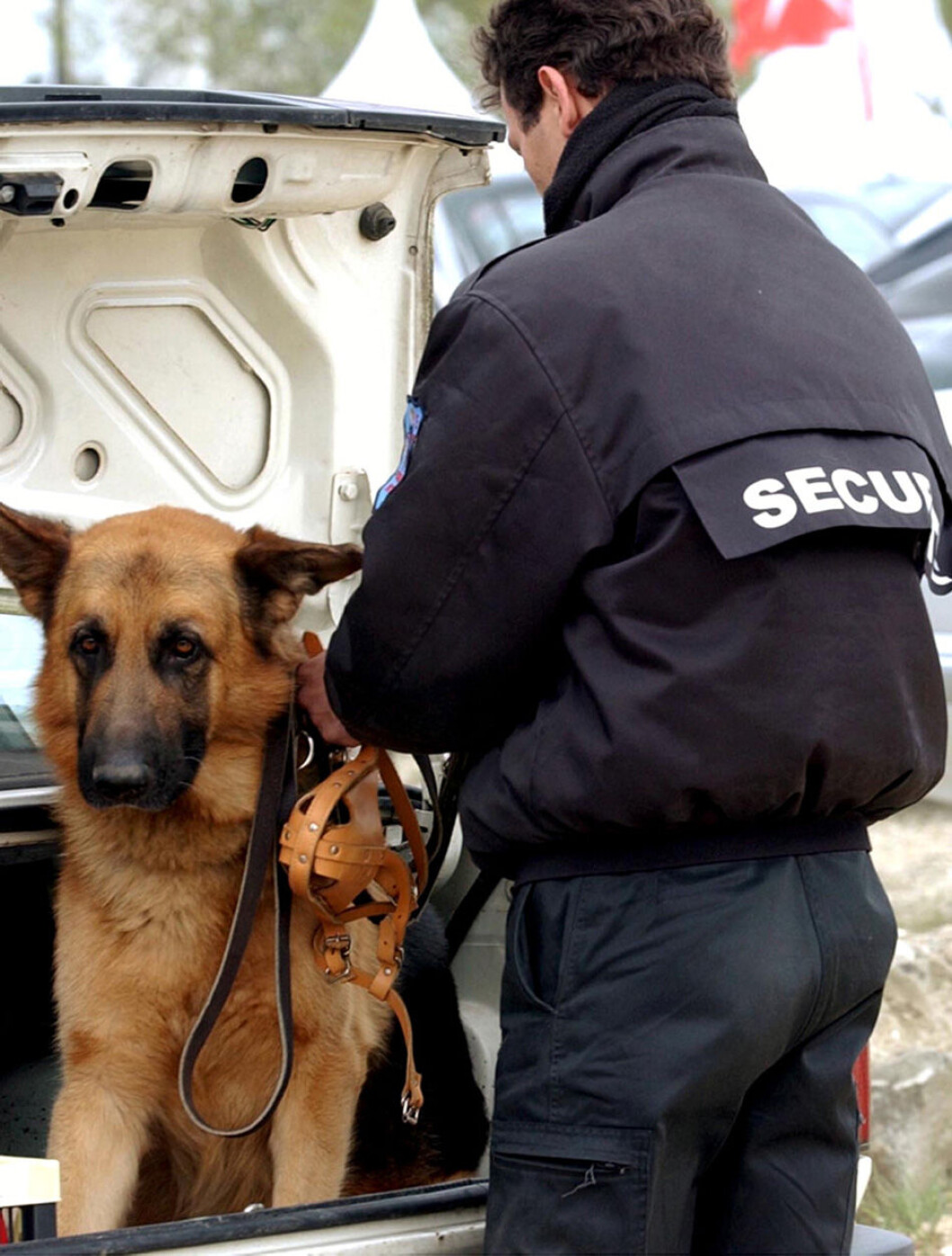Hundevekter Hundevekter