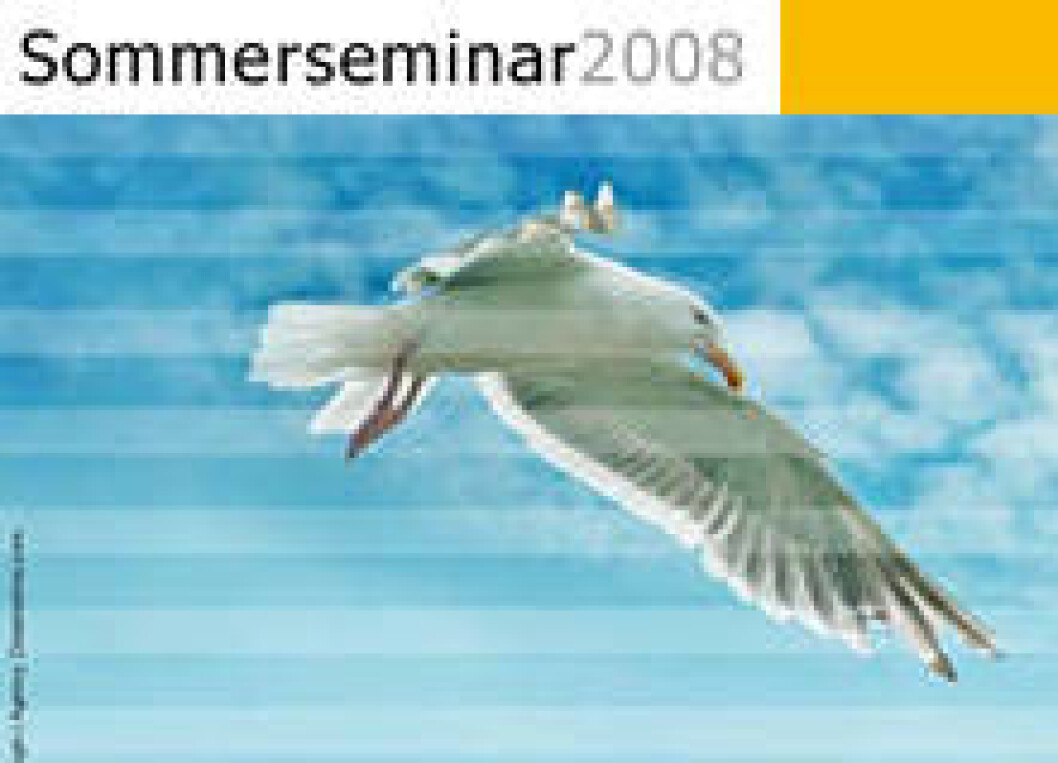 Sommersemina 2008 02 Sommersemina 2008 02