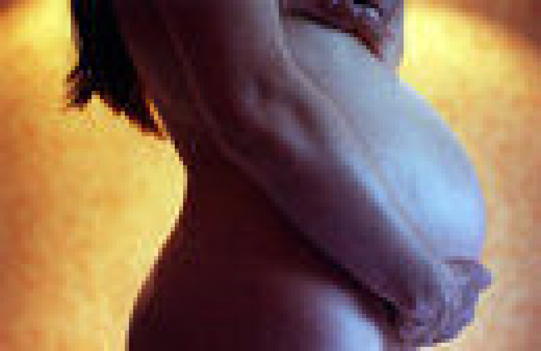 Gravid_mage_cb522142 Gravid_mage_cb522142
