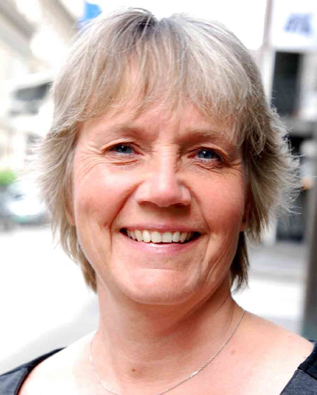Anita-Winsnes-Svanemerket Anita-Winsnes-Svanemerket