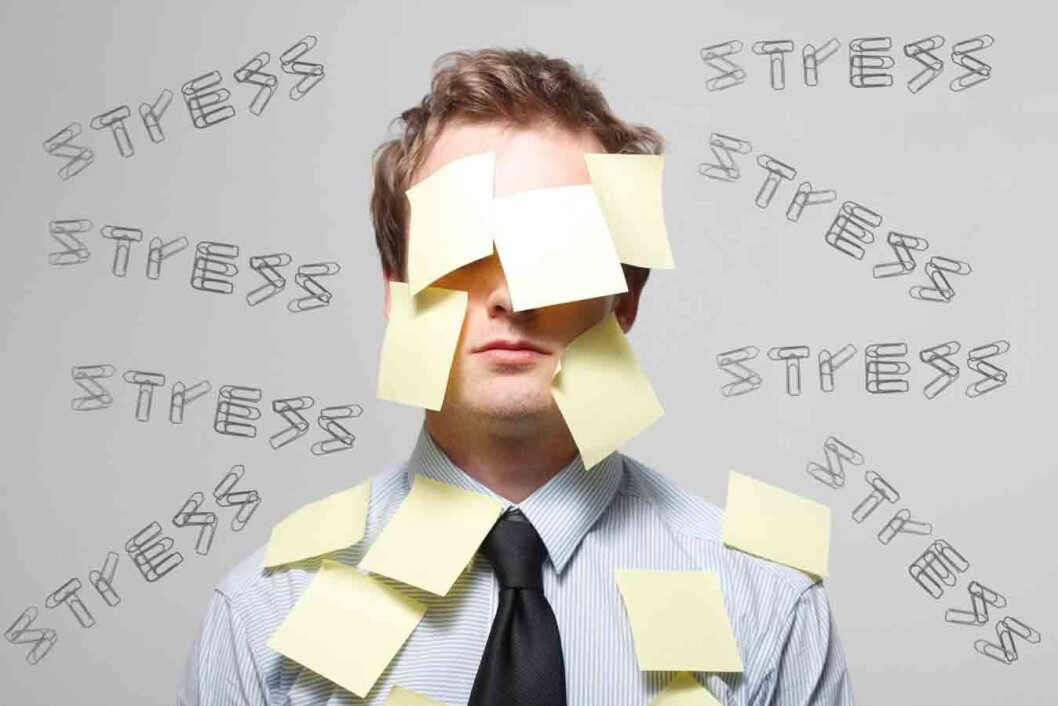 Stress-CB1177033 Stress-CB1177033