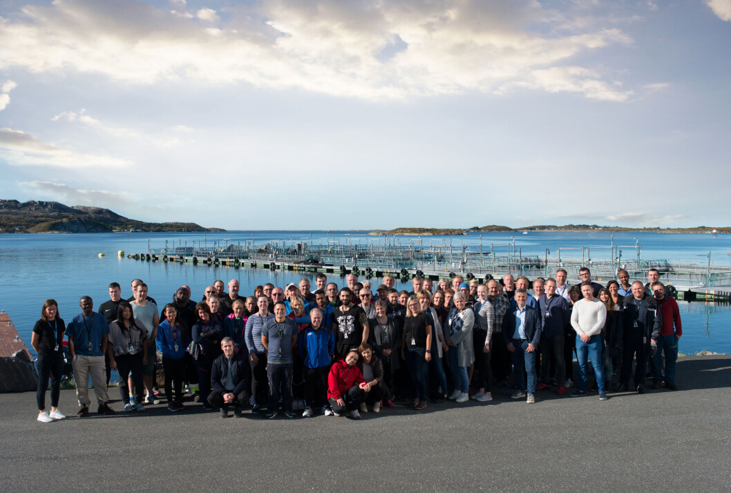 (Foto: Marine Harvest) (Foto: Marine Harvest)