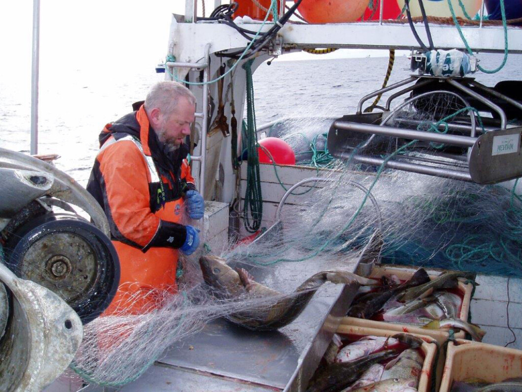 Fiskerne er mindre syke enn befolkningen for øvrig. (Foto: Halvard Aasjord, SINTEF Ocean) Fiskerne er mindre syke enn befolkningen for øvrig. (Foto: Halvard Aasjord, SINTEF Ocean)