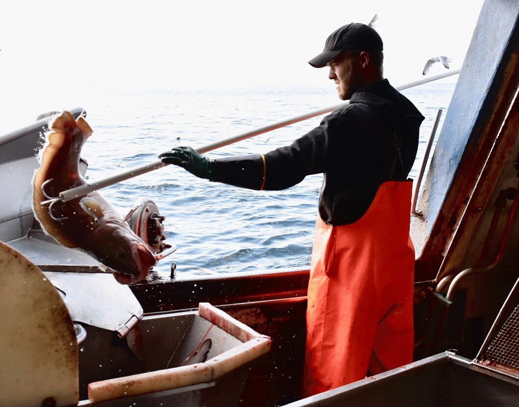 Sjømatnæringen skaper arbeidsplasser, og er en av få eksportnæringer som er i voldsom vekst, viser en fersk rapport fra Sintef Ocean. (Foto: NTB Info)