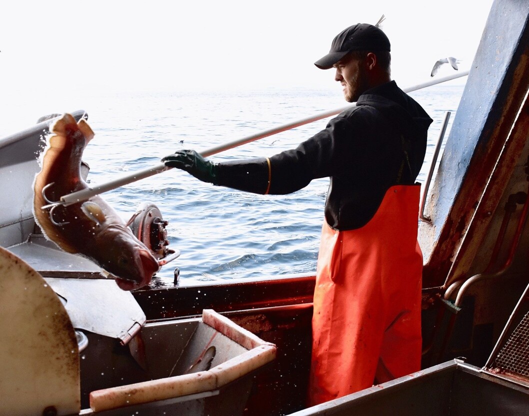 Sjømatnæringen skaper arbeidsplasser, og er en av få eksportnæringer som er i voldsom vekst, viser en fersk rapport fra Sintef Ocean. (Foto: NTB Info) Sjømatnæringen skaper arbeidsplasser, og er en av få eksportnæringer som er i voldsom vekst, viser en fersk rapport fra Sintef Ocean. (Foto: NTB Info)