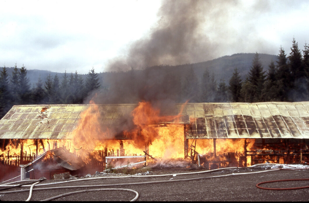 Antallet branner der dyreliv går tapt er nærmest redusert til null på få år, viser ferske tall fra Landbrukets brannvernkomité. (Foto: Landbrukets brannvernkomitè/Thor Kr. Adolfsen/NTB Kommunikasjon) Antallet branner der dyreliv går tapt er nærmest redusert til null på få år, viser ferske tall fra Landbrukets brannvernkomité. (Foto: Landbrukets brannvernkomitè/Thor Kr. Adolfsen/NTB Kommunikasjon)