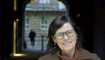 Elisabeth Ege, direktør i Akan kompetansesenter Elisabeth Ege, direktør i Akan kompetansesenter