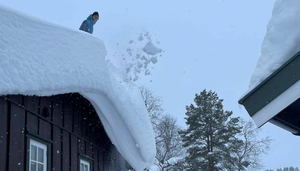 Bilde av person på et hyttetak fullt av snø.