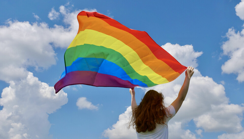 Person holder et regnbueflagg opp i vinden.