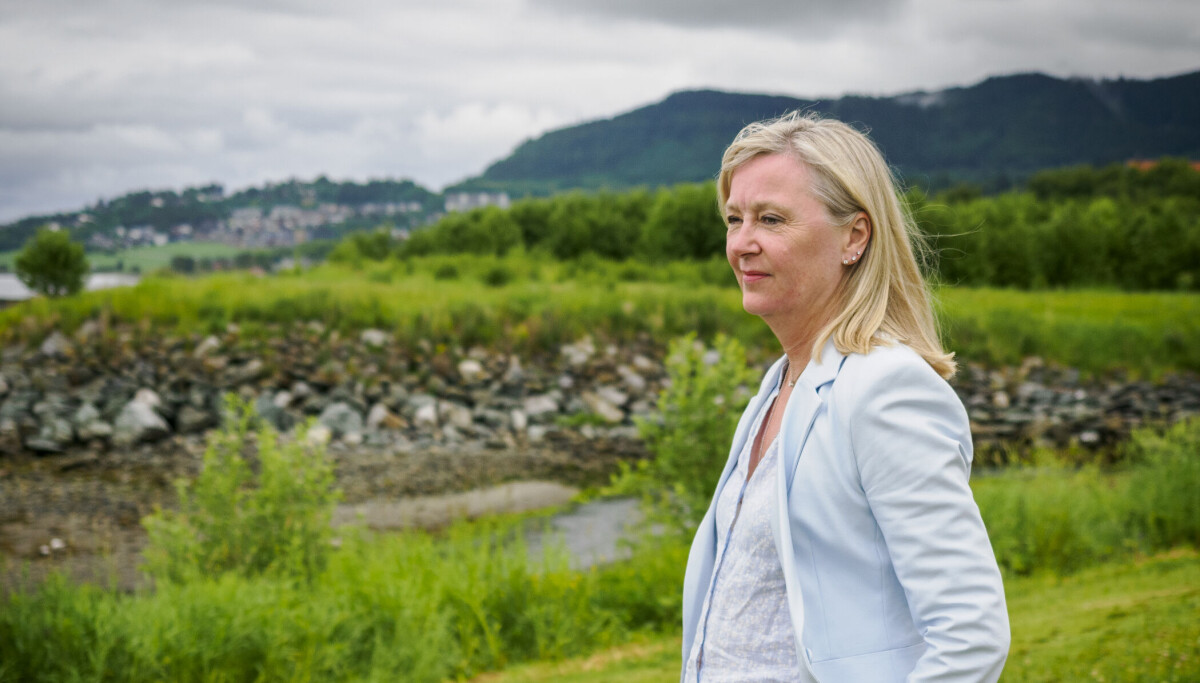 Intervju med direktør Trude Vollheim i Arbeidstilsynet